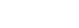 SFVN INVESTMENT CORPORATION